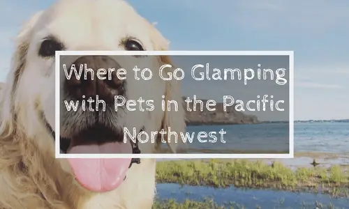 Where to Go Glamping with Pets in the Pacific Northwest | Soap Lake Natural Spa and Resort