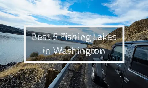 Best 5 Fishing Lakes in Washington | Soap Lake Natural Spa and Resort